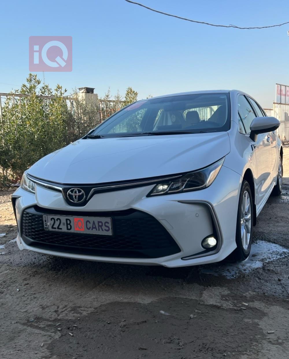 تويوتا كورولا